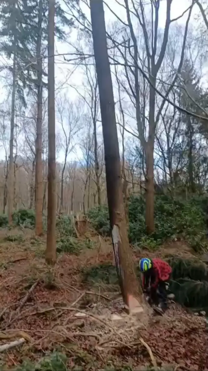 Bos met kale bomen en een persoon met een rugzak tussen de bladeren